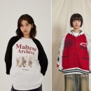 와이케이 이미지