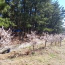 꽃잠 하우젠 이미지