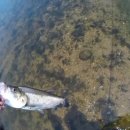 여울모텔 이미지