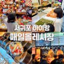 서귀포 매일올레시장💙 오는정김밥 픽업하러 갔다가 더 즐거웠던 곳