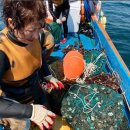 세자매 고기테이블 | [제주 해녀세자매 협재본점] 제주 협재 맛집 해녀세...본점 통갈치조림 &amp; 고등어구이 &amp; 몸국 내돈내산 후기
