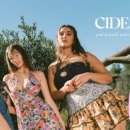 Fragile Na 이미지