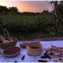 주식회사 청년이룸 이미지