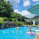 칠곡 학선정 대구 근교 물놀이 식당 후기 (이용방법)