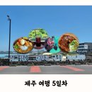 시흥상동로 | 제주 여행 5일차 | 슌식당, 세화해수욕장, 카페세화숲, 세화비치서프샵 스노클링, 달이뜨는식탁