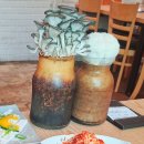 칠곡해물손칼국수 | 안성칠곡저수지 맛집 칠곡해물손칼국수 본점 &#39;황제해물칼국수&#39;