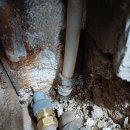 구월3동-3 이미지