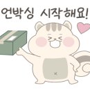 더피유에스테틱