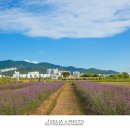 대저생태공원 이미지