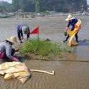 서천 바닷가 갯벌 이미지