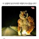 숨모텔 이미지