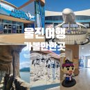 근남면 복지회관 앞 | 울진 가볼만한곳 BEST 6 아이와 함께 가기 좋은 실내외 명소 총정리