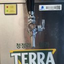 안성 구웠닭 숯불치킨 - 퇴근 후 친구들이랑 구웠닭에서 한잔! 새벽까지하는 안성치킨집