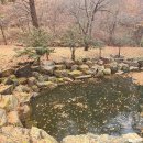 양평숲 비룡캠프장 이미지