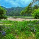 금모래민박 이미지