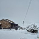 무안펜션 | [무안펜션 추천] 독채펜션 일로와 야경이 좋은 무안 펜션 후기!