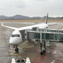 고금버스터미널 | 4월의 프랑크푸르트