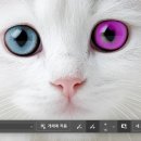 포토샵기초 이미지