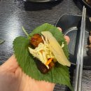 [동해 천곡맛집]강원도 동해맛집 족발상회 동해천곡점