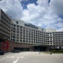 인미디어 | 힐튼경주 레이크사이드 평일점심, 코스믹 리조트 미디어 전시 후기