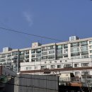 안암삼익아파트 앞 이미지