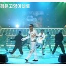 검은고양이네로