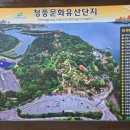 구기자 약초시장 이미지