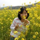 해우펜션 이미지