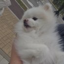 숲속노을 동물병원 이미지