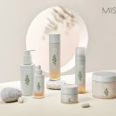 미샤 - 달서구 달구벌대로329길 26 | 미샤