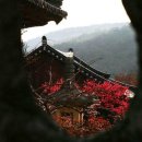 이밥 - 종로구 | 이밥