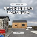 오소록스테이