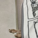 보경세탁소 이미지