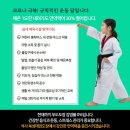 한국체대 정진태권도 이미지
