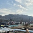 날씨누리 예보입니다 ❤️ 이미지