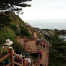 VIP힐링산악회 25번째 이야기** 경북 영덕군 축산항 죽도산둘레길 이미지