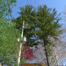 사옹원 분원리 석비군 이미지