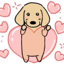 민정미용실 이미지