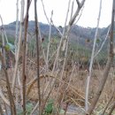 해도농장 이미지