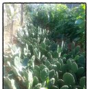 원농장1 이미지