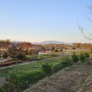 부안 줄포만 노을빛 정원 족구장 이미지