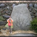 마음은 소녀 이미지