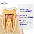 100세 치과의원 | 치과의사가 받아본 미니쉬 후기 (feat. 김은진 대표원장)