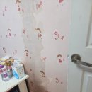 대한종합설비 | 도봉구누수탐지업체 신우 누수탐지 종합설비 이용후기