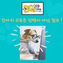 BG독케어센터 네이버블로그