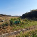 김종현행정사사무소 이미지