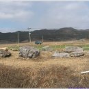 송정리 고인돌 이미지