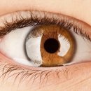 뉴아이맥스안경 이미지