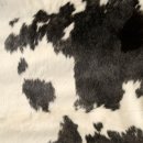 초록수채화 이미지