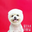 뭉치네 미용실 이미지